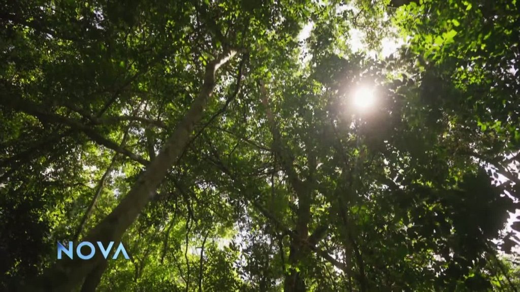 [Image: 5zq9ayxkvy73.jpg]