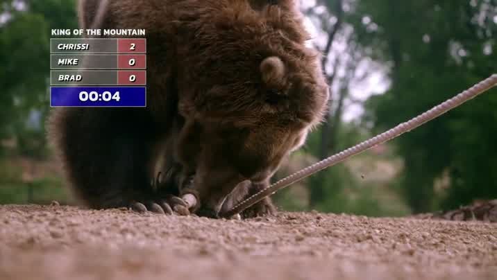 [Image: yjx005irj5ll.jpg]