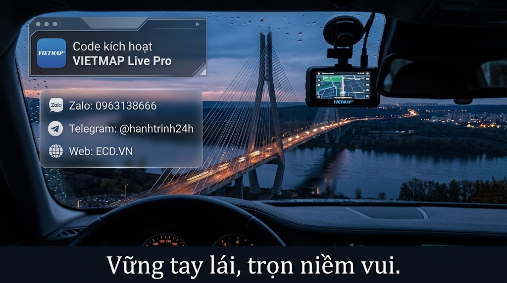 vietmap pro best value