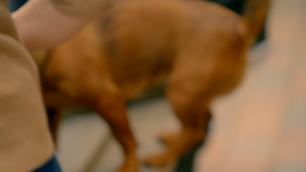 [Image: ig3oayi38qa7.png]