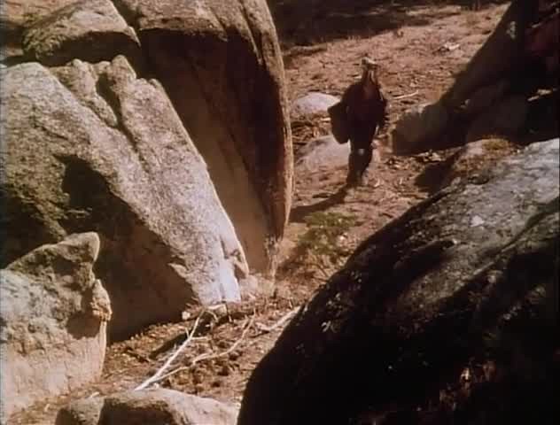 [Image: 86h3olfc1usy.jpg]