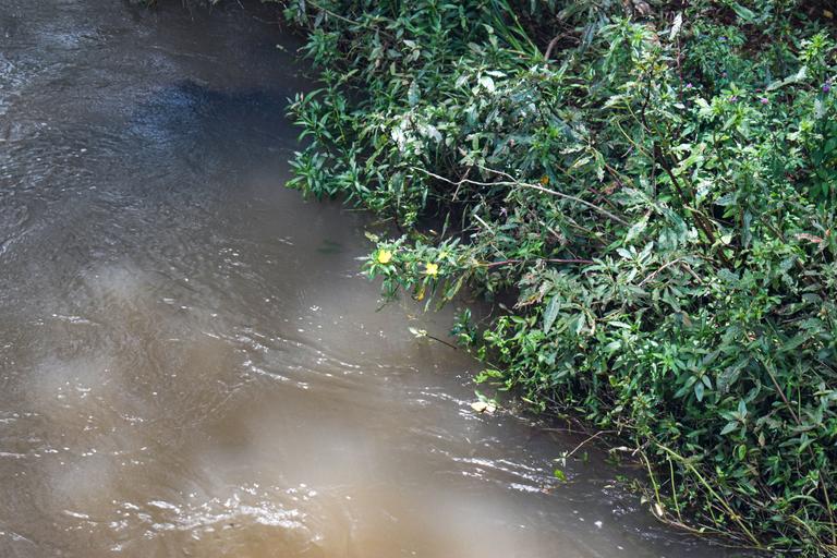 В джазе только девушки или аргентинско-бразильский калейдоскоп В джазе только девушки или аргентинско-бразильский калейдоскоп