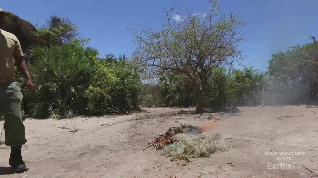 [Image: lz4flysz22k1.jpg]