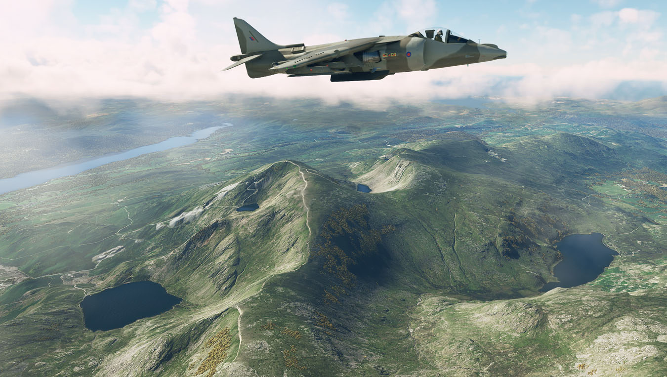 Harrier-Scotland-03-1350.jpg?dl=1