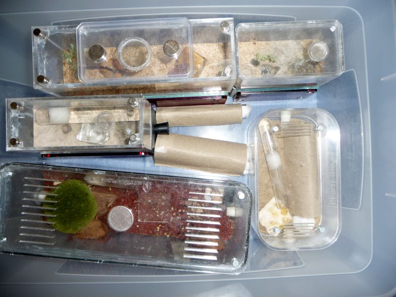 0310-Hibernation.jpg