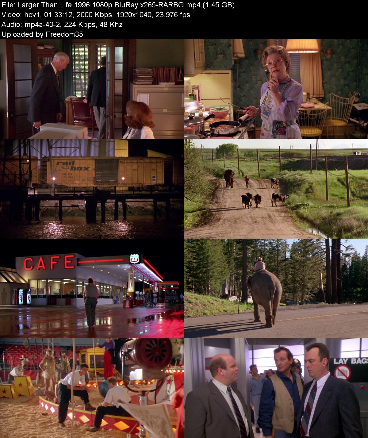 Larger-Than-Life-1996-1080p-Blu-Ray-x265