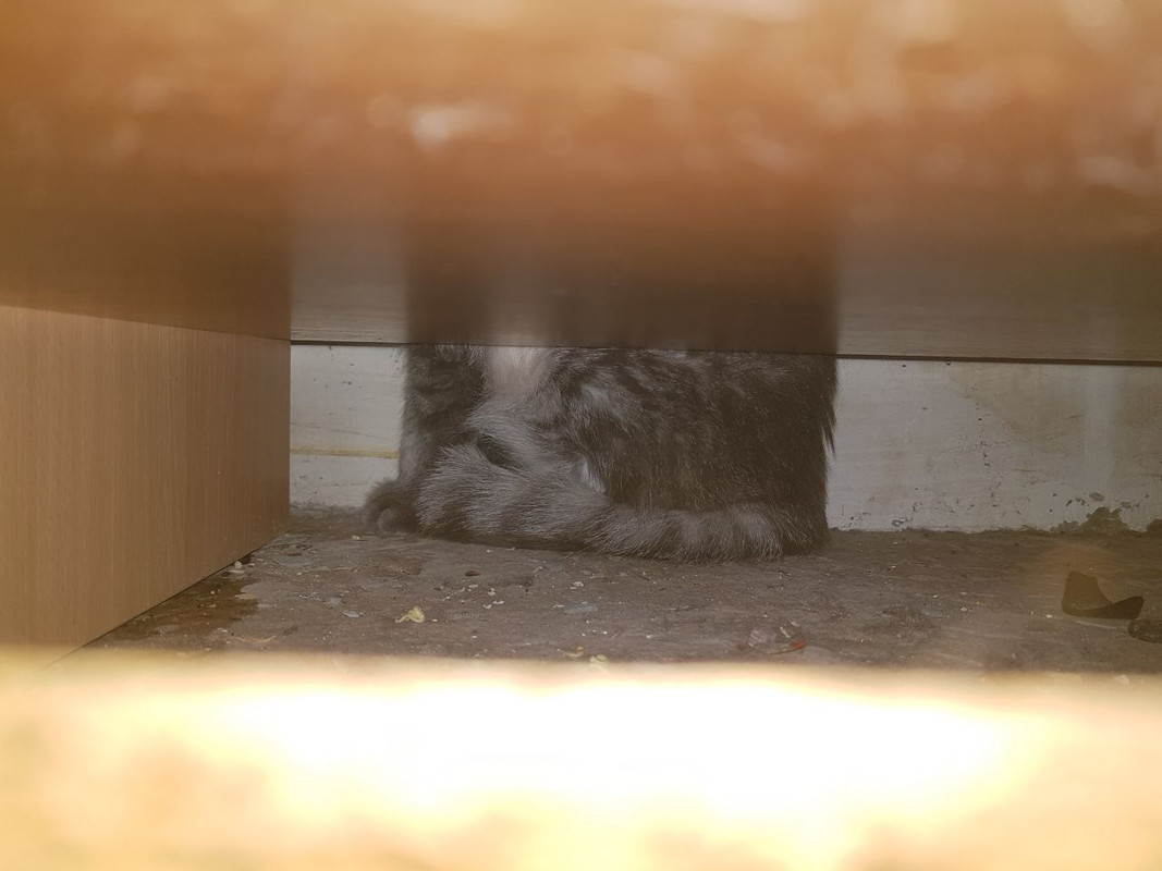 6E7B624F-BBEA-4C28-98D2-B7047C31AA1F