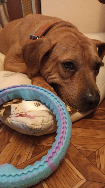 EF8A2EA3-591D-4F50-9D67-D6CF7A0F9CFE