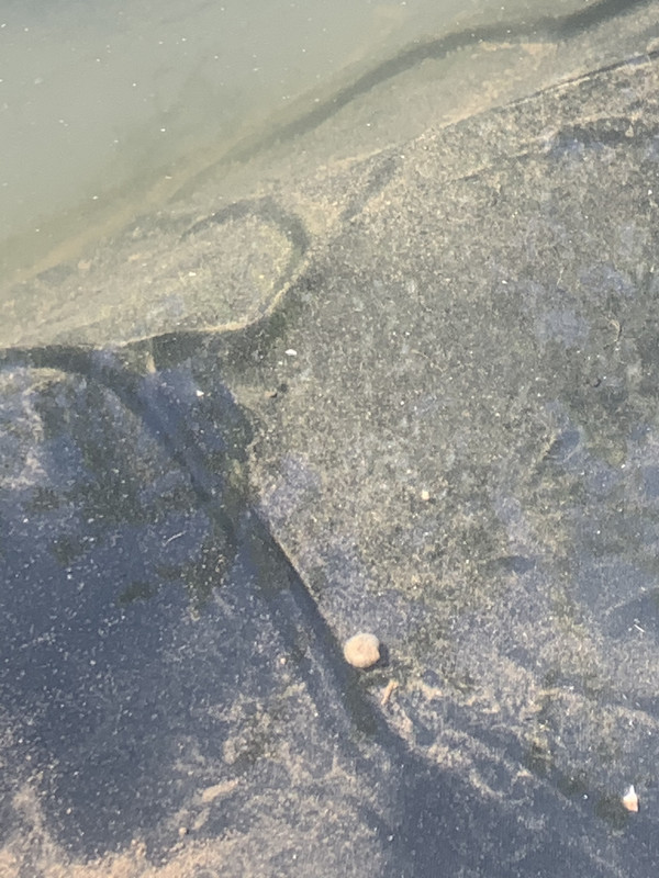 06DA9B28-9D52-4509-998B-56AAC69E622D