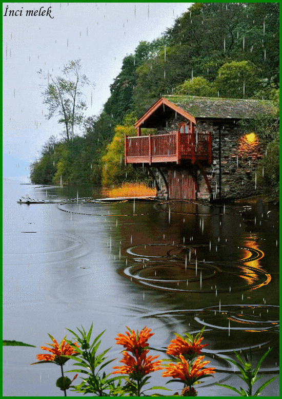 EE1ABF05-1B78-4FC7-8B01-E85293591D89