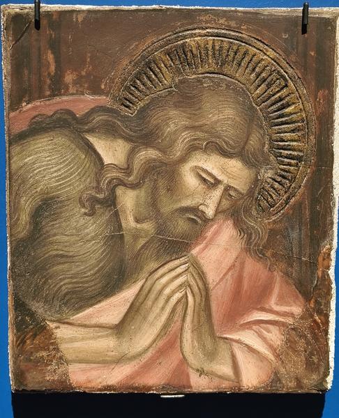 Milán-Turín-Génova-Pavía - Blogs de Italia - Pavía: la famosa batalla y sus torres medievales (130)