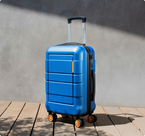Travel Bag Deal
