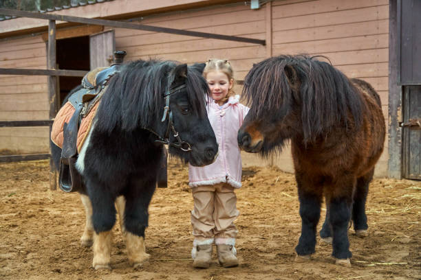 animal-assisted therapy