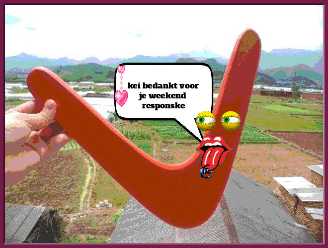 step0006.gif