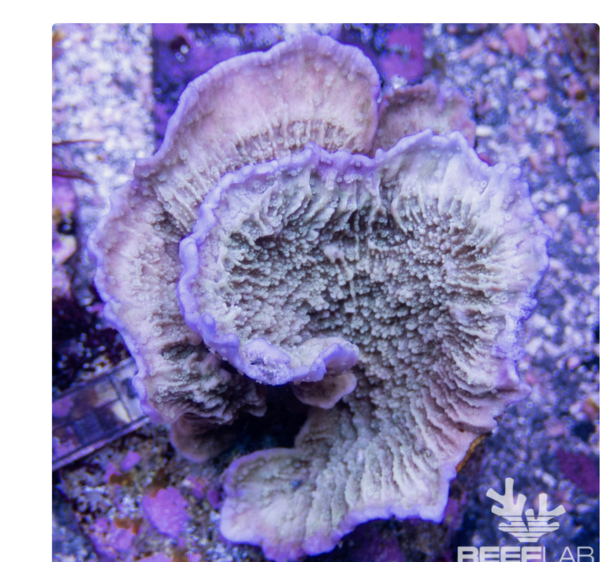 7220443B-F4CC-416A-A328-A470BA6D0C5B