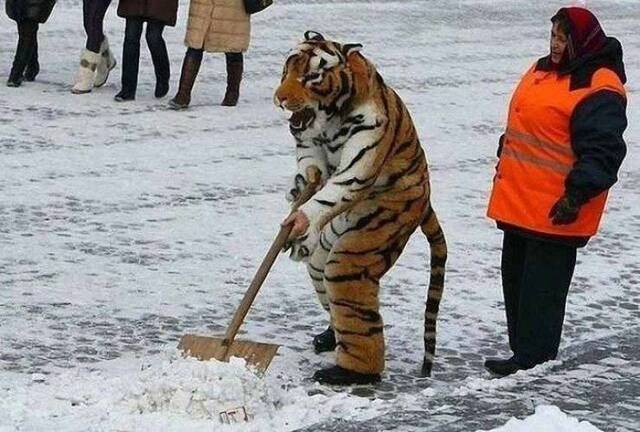 picdump-kw12-2021-054.jpg