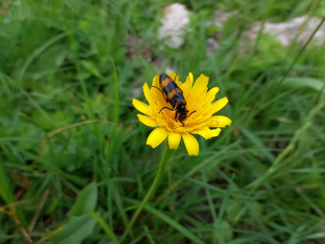 359923244-260583763280572-68154463512311