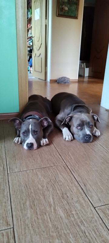 6AD3A9C0-6DD5-44AB-A4F6-85EDE7C2DAA7