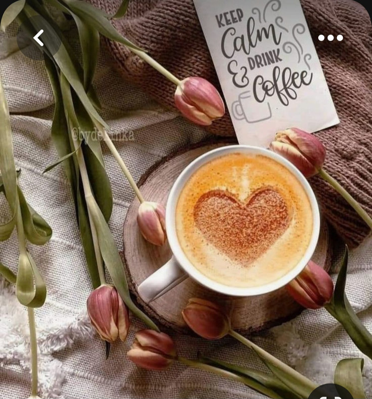 Screenshot_20230717_221040_Pinterest