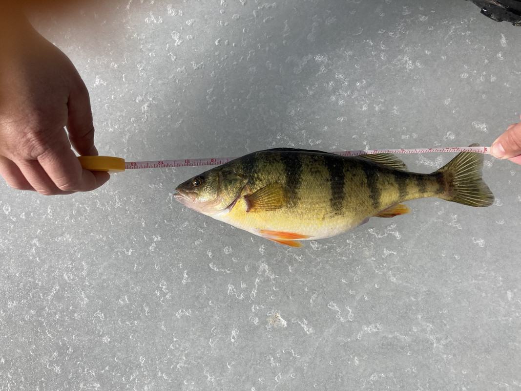 C6B90BA4-D9FC-4116-8EDA-3EC8918AB516