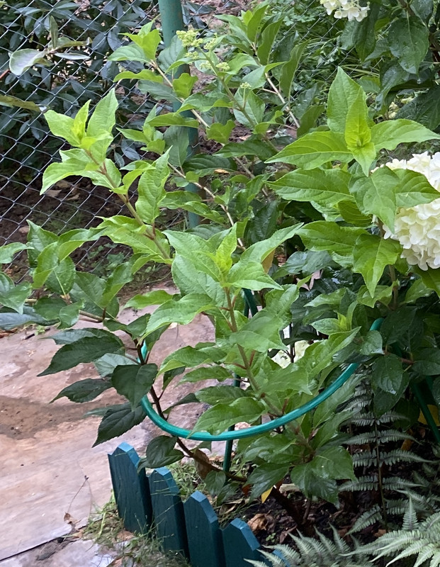 7F90CEE7-EB04-4BA2-BC8A-7F8984E9AB17