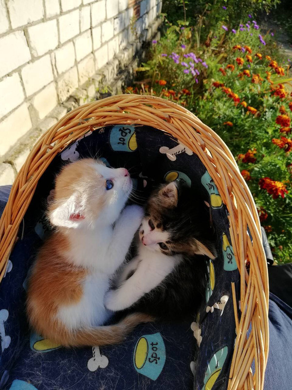 IMG_0042-27-10-18-02-51