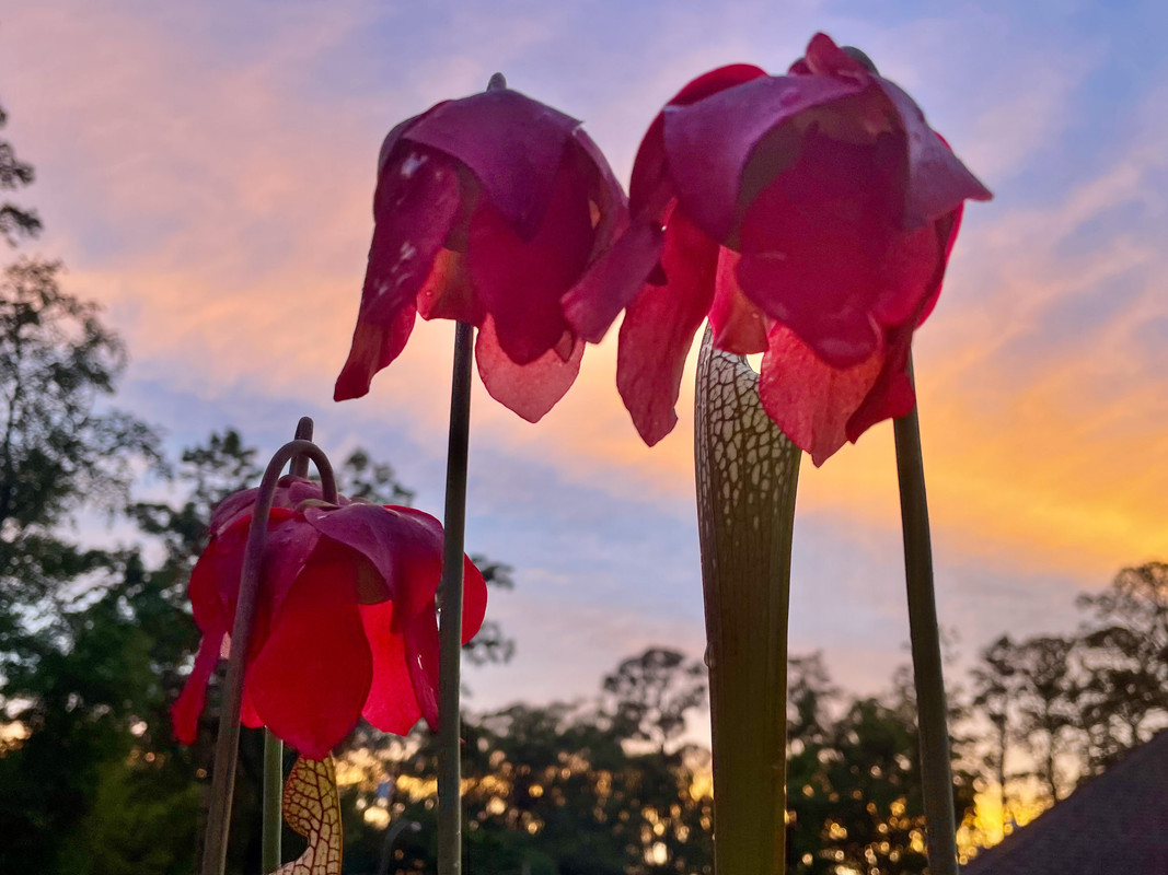 D1966850-1A24-4F41-B463-D917A48941AB