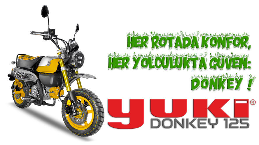 yuki-Donkey.jpg