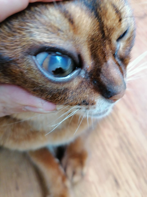 C7BB6FD9-46ED-4D81-8D61-CB7593202E87