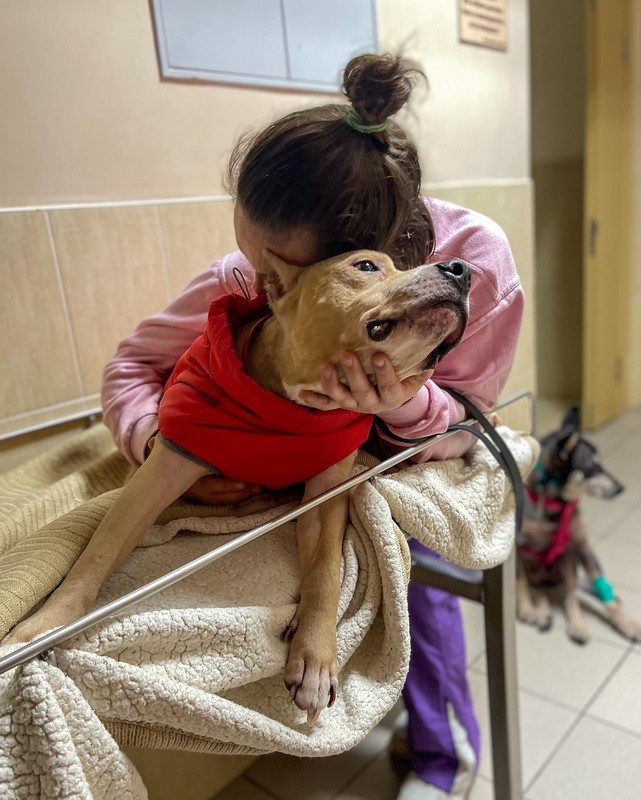 D3A790C1-D7D9-41B8-837C-C0BABF8CC1C3