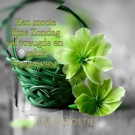 24161d4eb7878652fa3eb9a2e88fc499