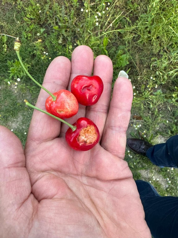 Φωτογραφία19