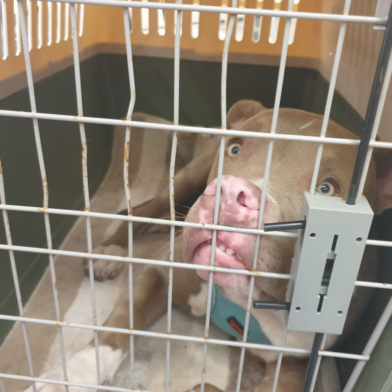 CE69AEC3-2682-4A0A-87A2-07D689FDBB9F