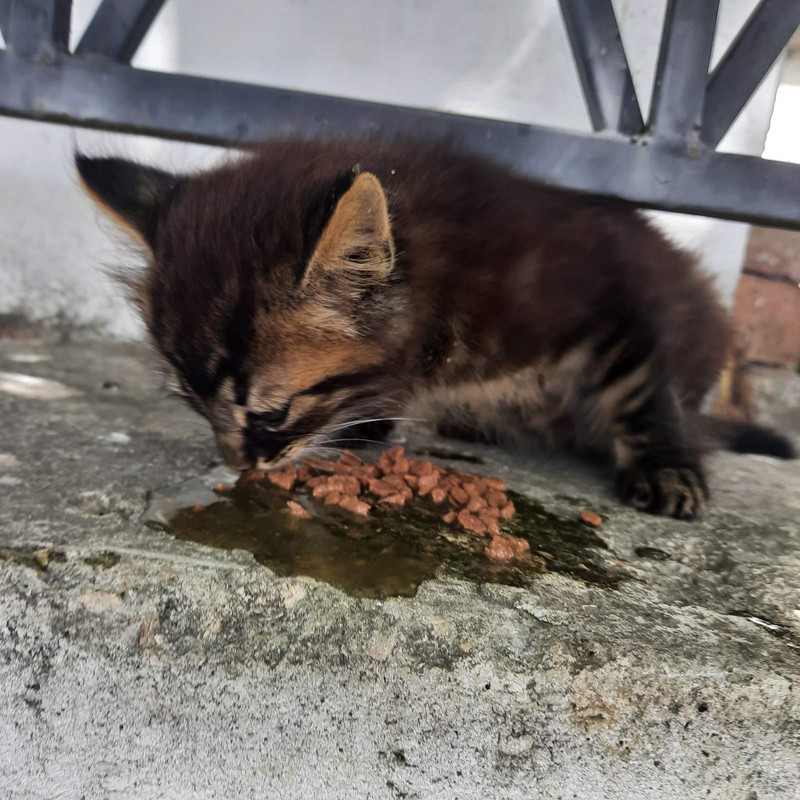 изображение_viber_2022-08-29_14-11-23-372