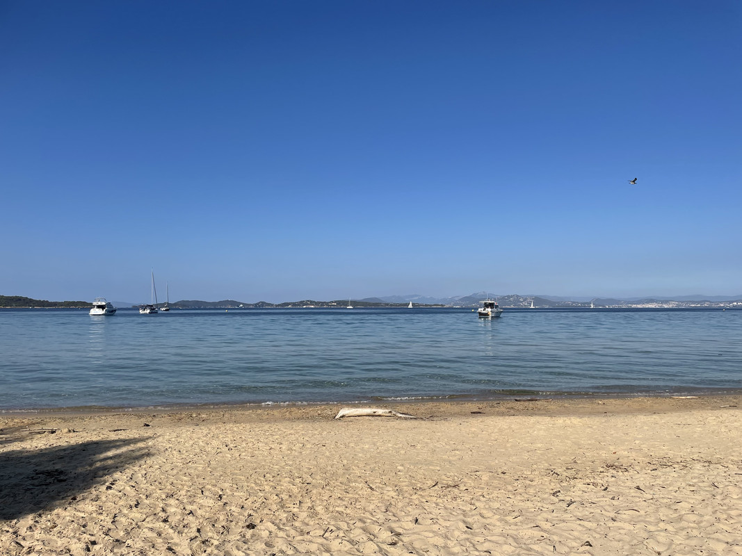 CFE0513A-CECF-4B64-8C18-DB54FA8E79B1