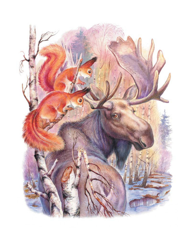 Shim-Eduard-Skazki-o-zhivotnyh-2020-page-0003