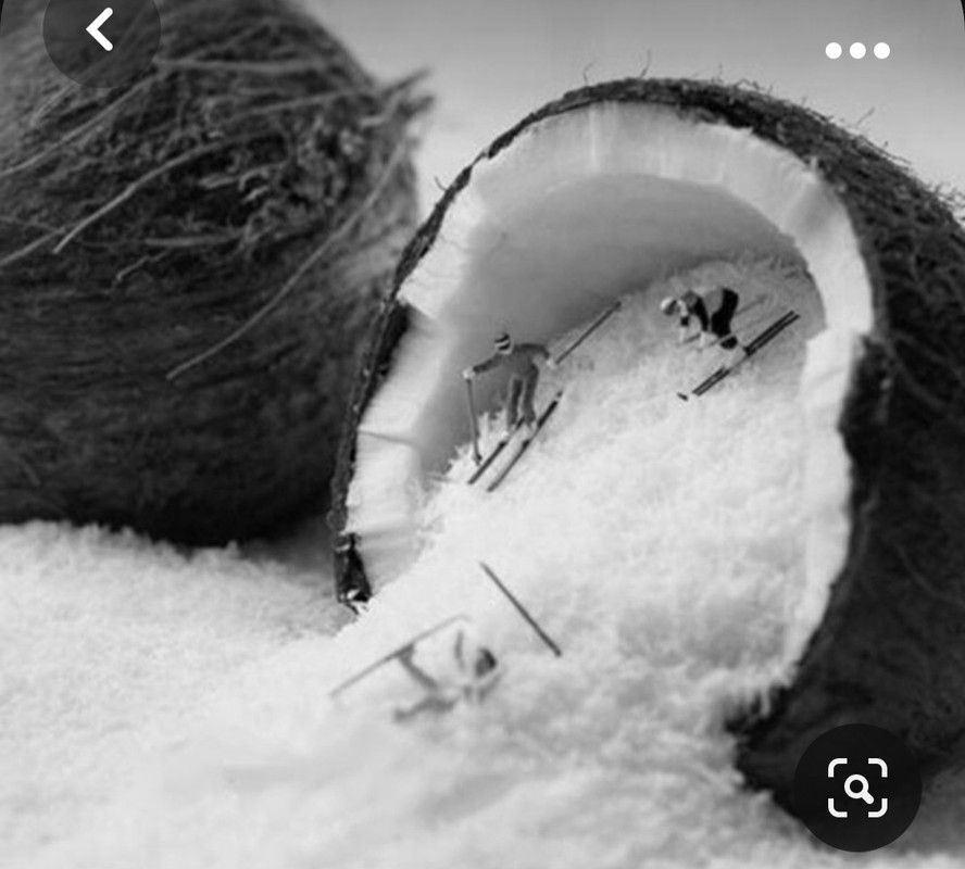 Screenshot_20230928_210723_Pinterest