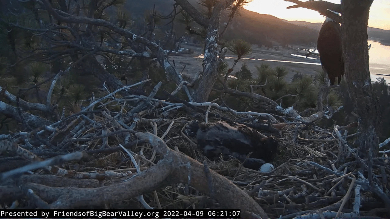 Webp.net-gifmaker (1)