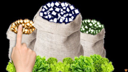 Financial Tips for busy people: From Saving to Investing