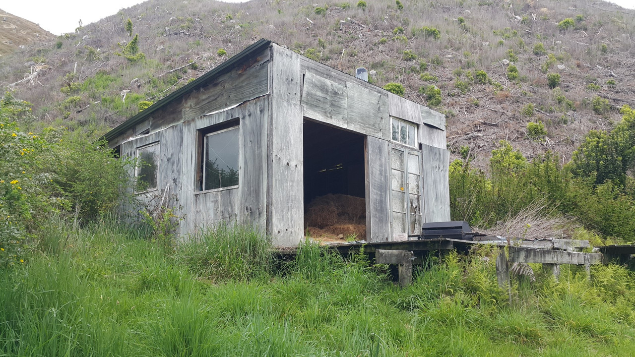 20201018_142047 (Large)