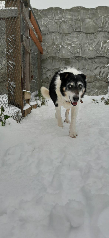 5842F5AB-6909-4F74-A32F-C0365652FE2C