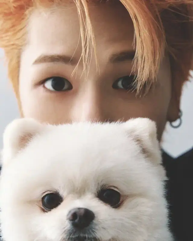 20250919_141424_copy_1044x1306