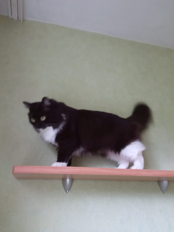 8E5F21B4-F57C-4FE6-8B17-5EF890D47403