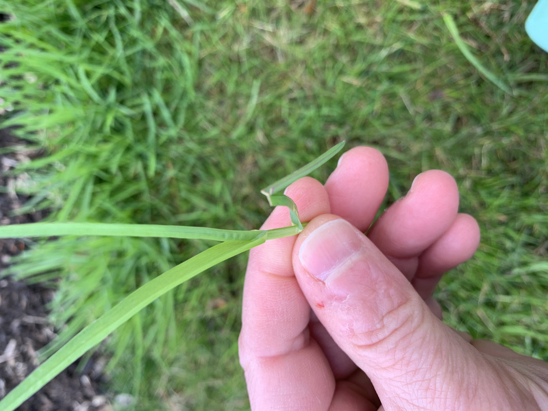 Photo Mar 24, 4 28 26 PM