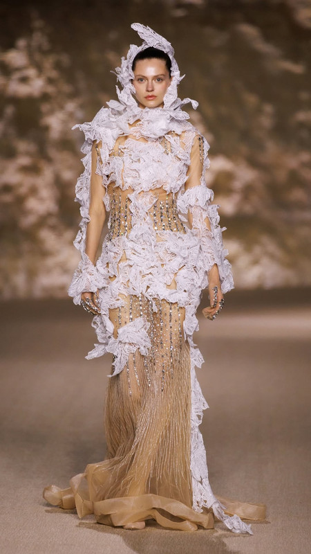 timaabid sa 572010001 18541198054019617 1485380724006089465 n