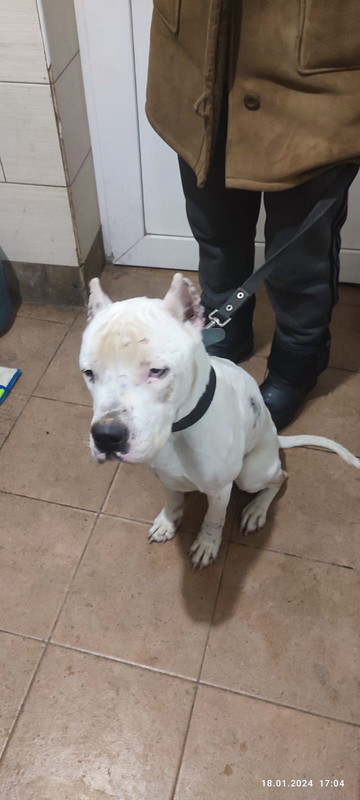 WhatsApp Image 2024-01-19 at 13.42.41 (1)