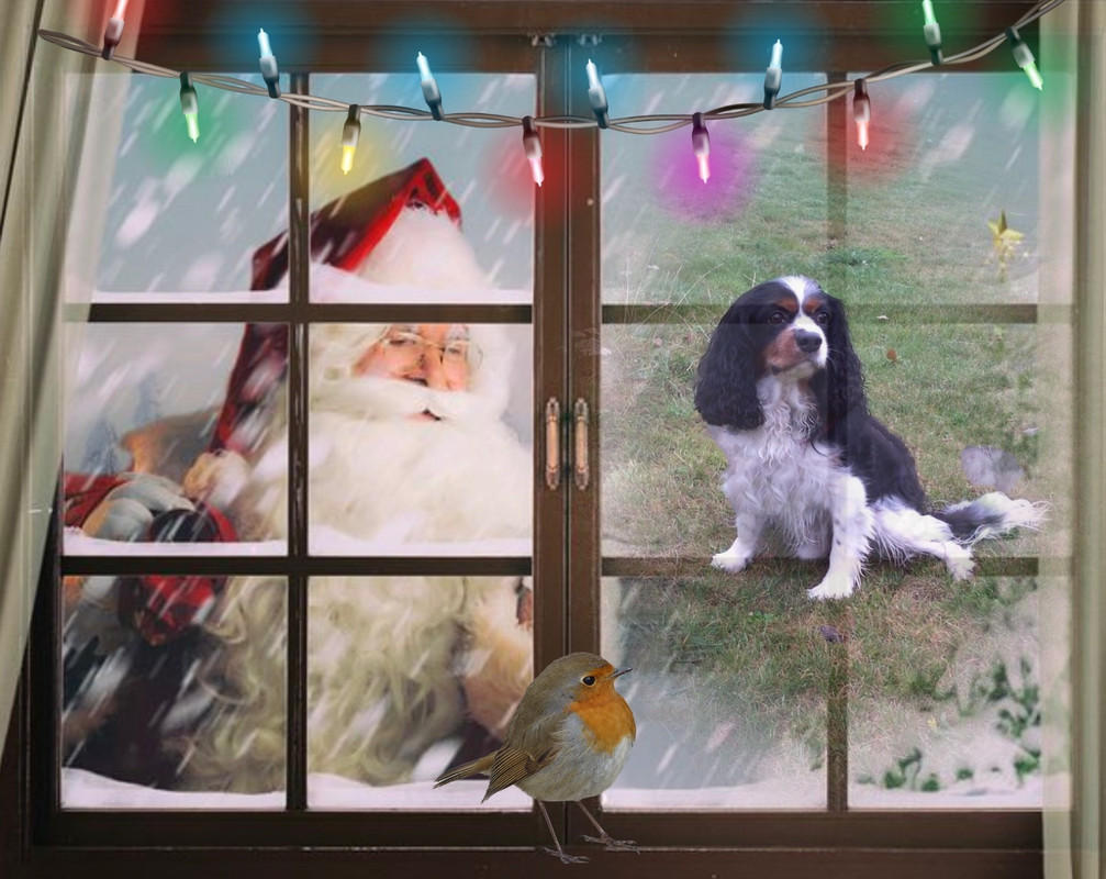 imikimi zo photo (6)