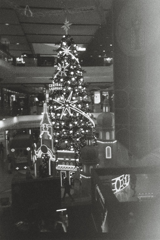 Kentmere-Nov2025-49-resized