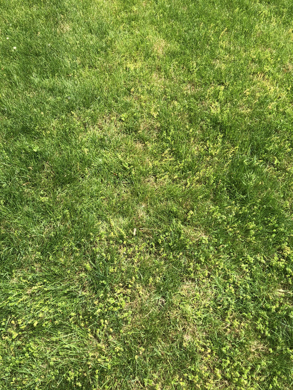 D9C2AE53-718D-4BC0-9D9B-539D1E9996F7