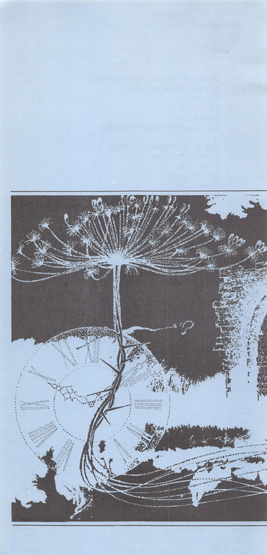 Владимир Солоухин «Северные берёзы _page-0035